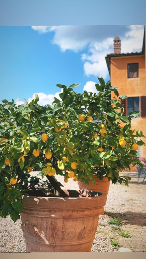 בית הארחה San Giovanni  	Fattoria Di Catignano מראה חיצוני תמונה