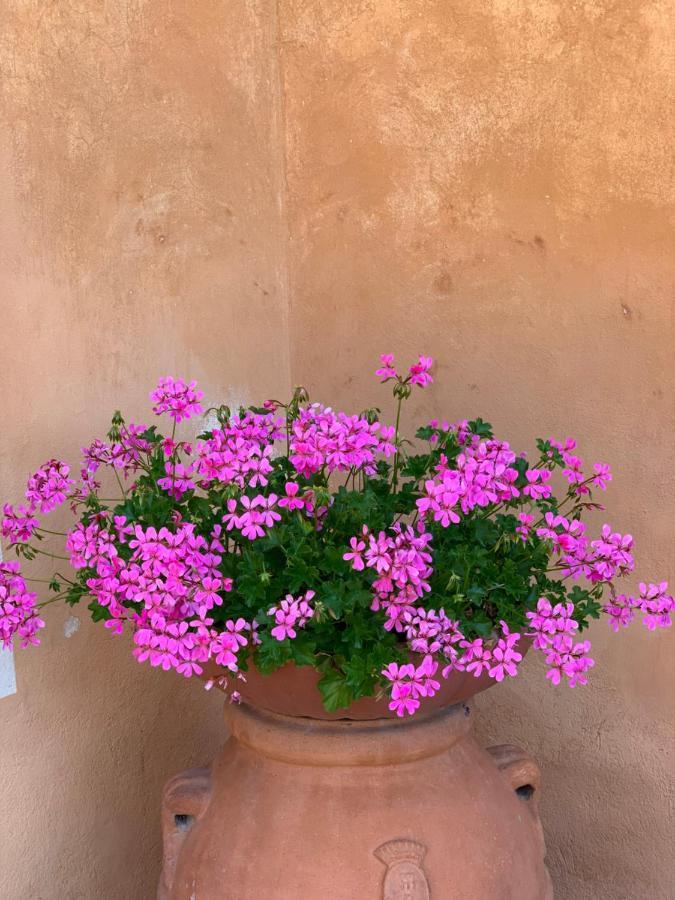 בית הארחה San Giovanni  	Fattoria Di Catignano מראה חיצוני תמונה